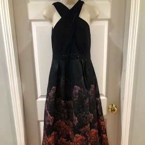 Adrianna Papell  Dress